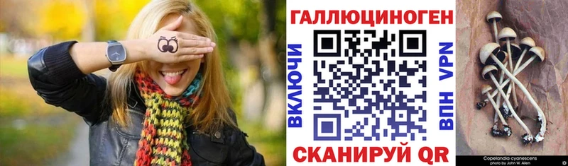 Галлюциногенные грибы Psilocybine cubensis  Зеленокумск 